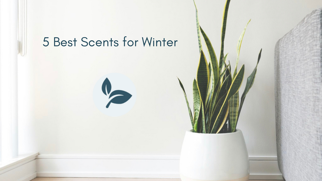 5 Best Scents for Winter