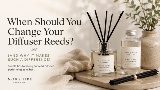 When Should You Change Your Diffuser Reeds? (And Why It Makes Such a Difference)